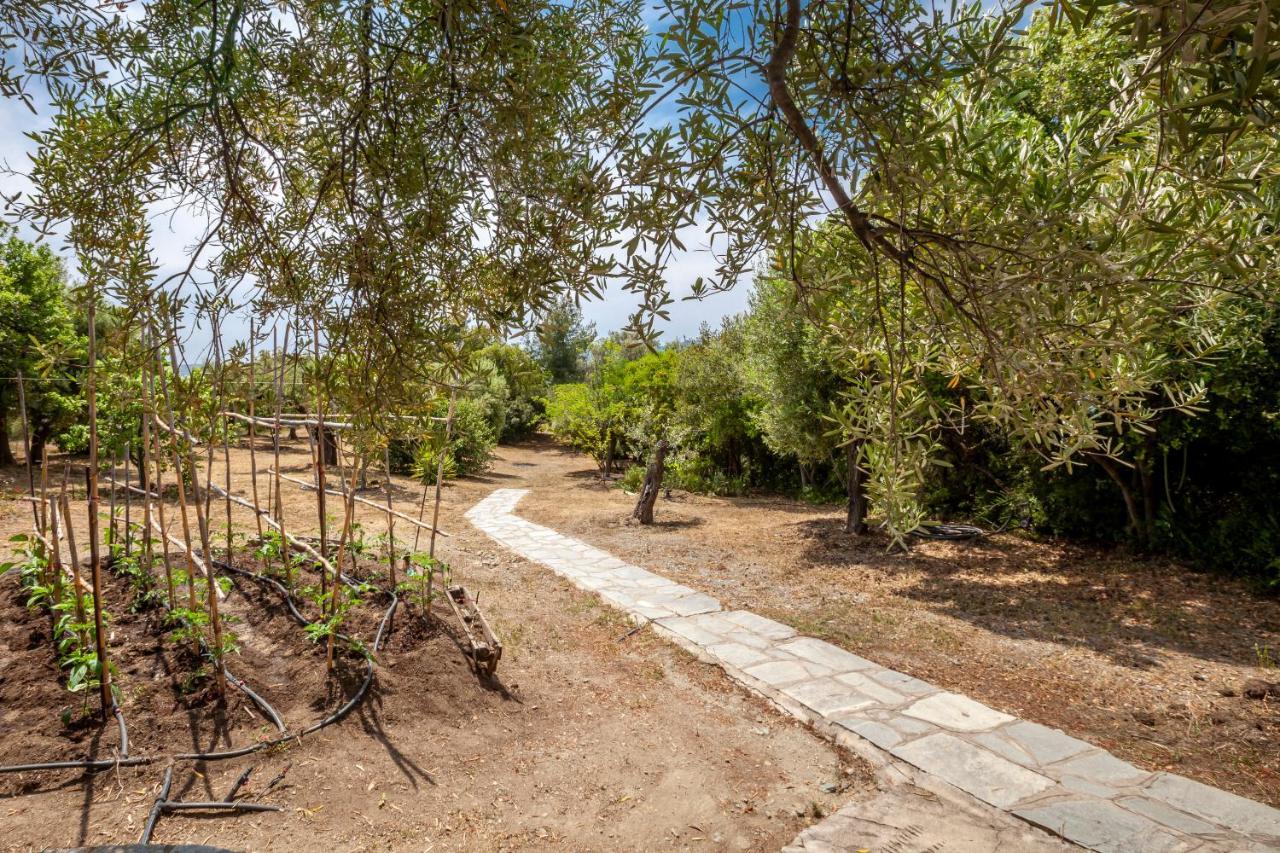 Villa Hidden Gem Sithonia à Metochi Agias Kiriakis Extérieur photo